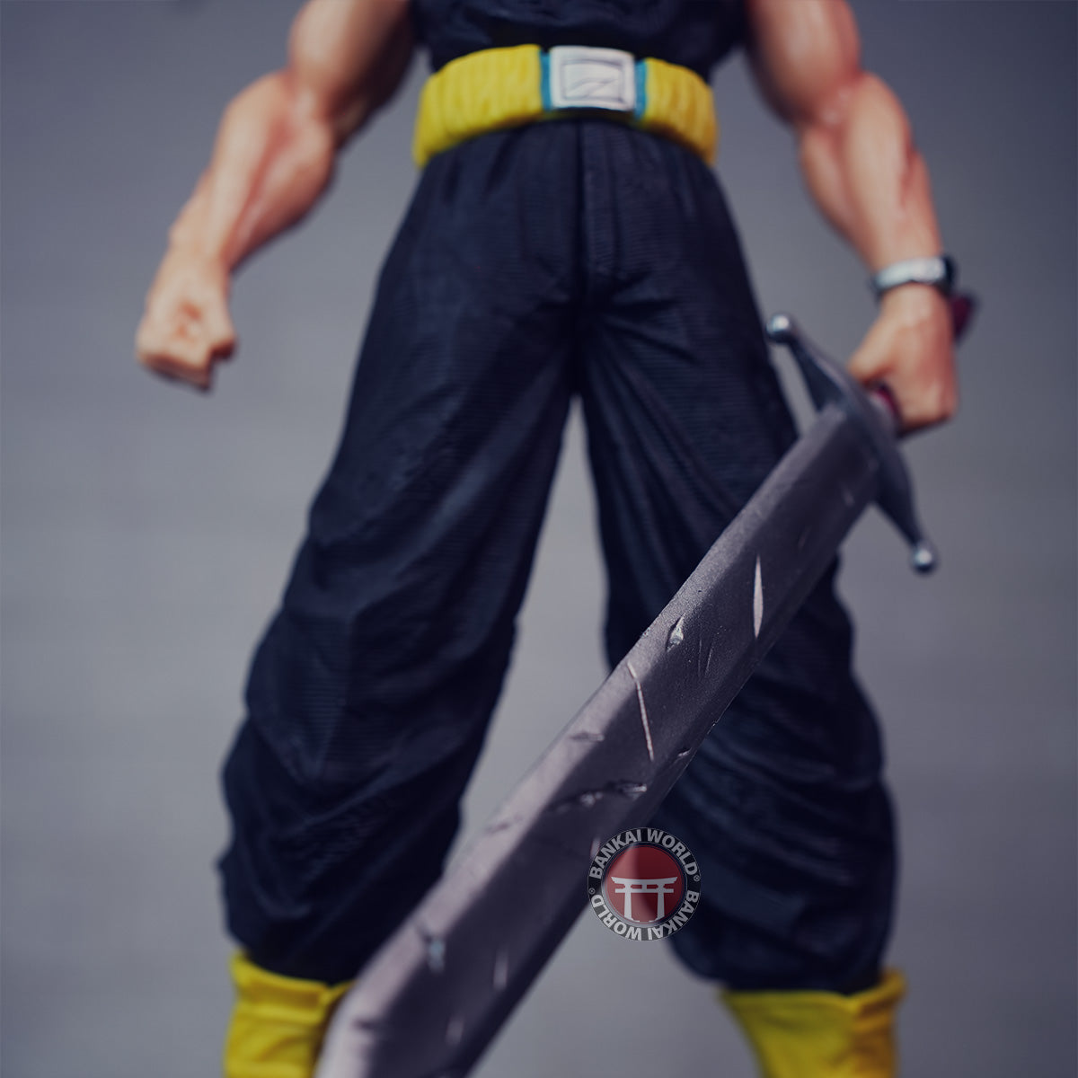 Trunks With Sword Giant Action Figure