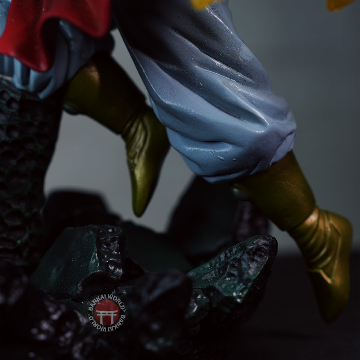 Broly Fighting Action Figure