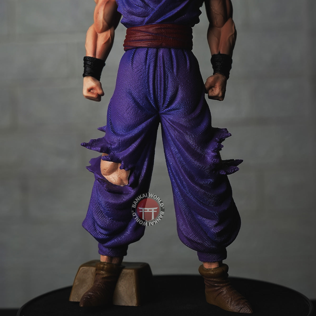 GOHAN IN BEAST FORM